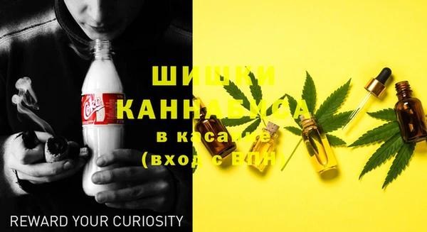 PSILOCYBIN Белокуриха