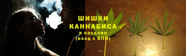 PSILOCYBIN Белокуриха