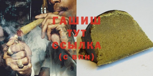 PSILOCYBIN Белокуриха