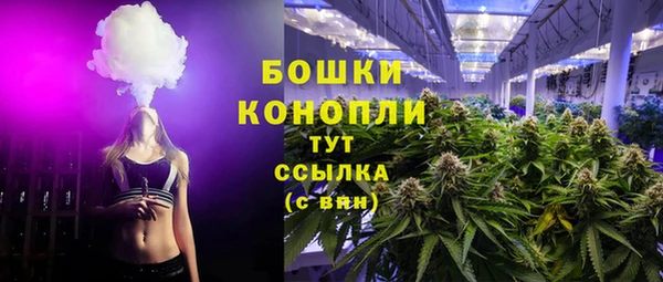 PSILOCYBIN Белокуриха