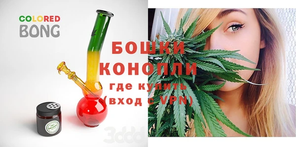 PSILOCYBIN Белокуриха