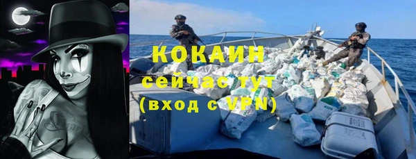 ешки Тавда