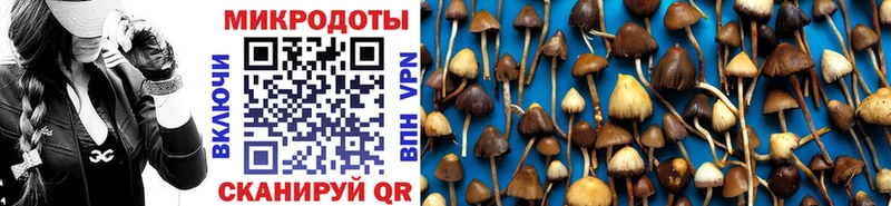 Галлюциногенные грибы мухоморы  где купить наркоту  Светогорск 